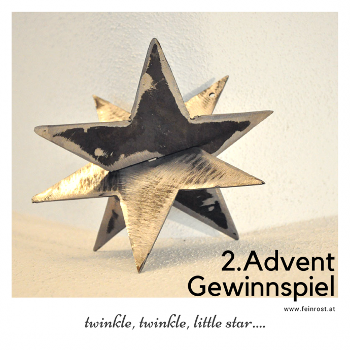 Gewinnspiel im Advent - Feinrost Steckstern die etwas andere Weihanchtsdekoration