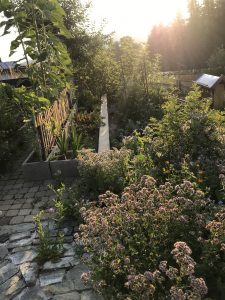 Sonnenaufgang im Garten bei Hausnummersechs