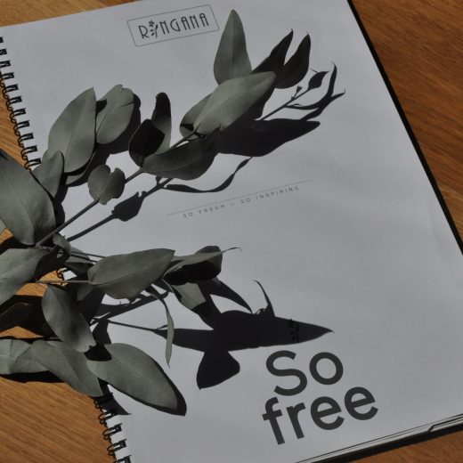 Hausnummersechs_frischepartner_0741