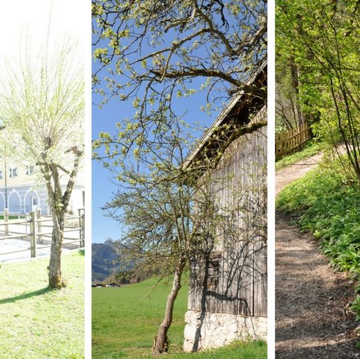 hausnummersechs_umgebung