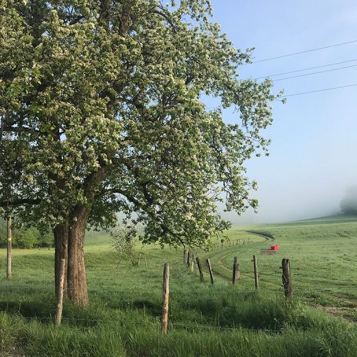 April WIB 2018 // buntes Wochenende im Hausnummersechs